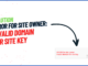 Error For Site Owner Invalid Domain For Site Key Solution