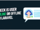 User Online or Offline on Laravel