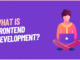 what is frontend development